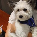 프레이저 플레이스 센트럴 서울 이미지