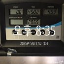 야무지니