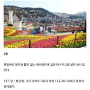 에버랜드(구 자연농원) 역대 최저입장객 이미지