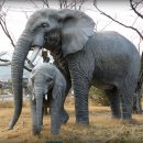 한국광고박물관 이미지