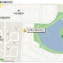 호수헤어라인 이미지