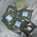 컴페니언 펫 이미지