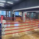 강병인 복싱 이미지