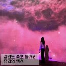 영랑초등학교 | 속초 가볼만한 곳 뮤지엄 엑스 속초 놀거리 추천