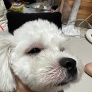 영덕사랑동물병원 이미지