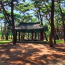 송림쉼터 이미지