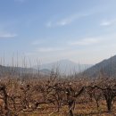 양촌마을 경로당 이미지