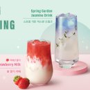 스프링가든 이미지