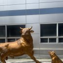 자연축산 | 마장동 축산물시장 자연축산 내돈내산 리뷰/마장 오리지널커피 후기