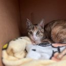 묘한쉼터 이미지