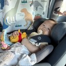 루이까스텔 진주 | 셋이서 함께한 여행, 그리고 2nd wedding anniversary