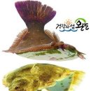 완도상회 이미지