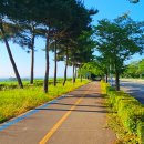 금강건재 - 유성구 봉산로 46 | [전남 나주] 영산강 자전거길 아이랑 라이딩 10km 초보코스 승촌보 인증센터 스탬프