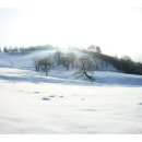 하이얀목장 이미지