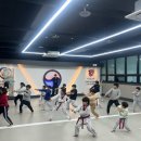 경희대 국가대표 신동태권도장 이미지