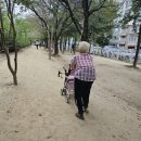 매천무지개공원 네이버블로그