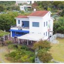 펫포레스트 이미지