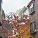 제로잉 | 아현피티 심박기 PT 후기 로잉 VS 스키 솔직 비교