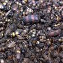 아하로마이비인후과의원 이미지