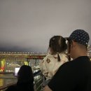 음악분수 | 아이랑 가볼만한곳 경춘철교 음악분수 후기 (시간, 선곡표, 주차팁)