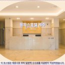 팜파스호텔제주 | 제주 팜파스호텔 솔직 후기! 제주여행 호텔추천 Best