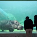 초양마루 이미지