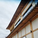 321베렌도 이미지