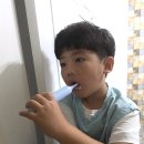 세진소프트 | 올바른 양치습관을 위한 오아 클린이스쿨 전동칫솔 어린이전동칫솔 추천