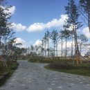 고덕수변공원 이미지