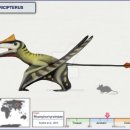 (주)카스코 | 익룡 종류(하편), 26종의 사진, 이름의 뜻과 특징
