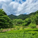 공작산생태숲 이미지