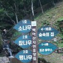 논산탑정호~화순~여수~청양탑정호 (2025.8.5~8.8일) 이미지