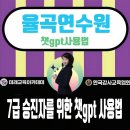 율곡연수원 7급승진자과정 챗gpt사용법교육지원후기