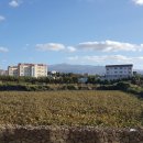 ★ 노형의 주인공은 나야~ 나 !! ★ 노형4차 미듬아뜨리에 현장사진 up!! 이미지