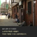 요셉약국 네이버블로그