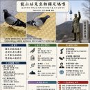 龍山站見哀物獨足鳩嘆 - 용산역에서 외발 비둘기를 보고 가련한 처지를 슬퍼하며 탄식하다 이미지