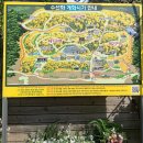 서산수선화관광농원 | 서산 유기방가옥 수선화 축제 후기 (주차, 입장료, 방문 꿀팁까지)