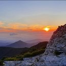 샘물식당 이미지