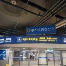 보홀 태교여행 4박6일_1일차 (임산부 우대, 돌핀베이리조트, 바닐라스카이레스토랑, 할로망고, 보홀랄라)