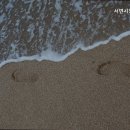 서면시장통 네이버블로그