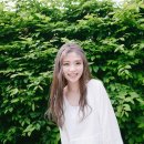 숲의 마음 이미지