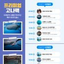 보홀 여행 계획과 결과