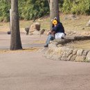 그루밍차차 | 10년만에 간 에버랜드 방문 후기 (30대는 조심하자)