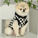 데일리도그 이미지