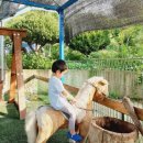 용천농장2 이미지