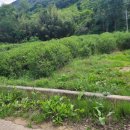 마금산약국 이미지