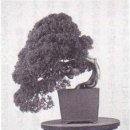 공간_空間