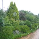 대불농장 이미지