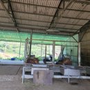 용암1농장 이미지