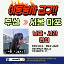 [함안보호소유기견] 아톰이 이동을 도와주세요😭 부산-＞서울 이미지